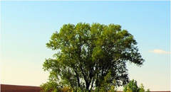 EXPLORING KERN COUNTY4