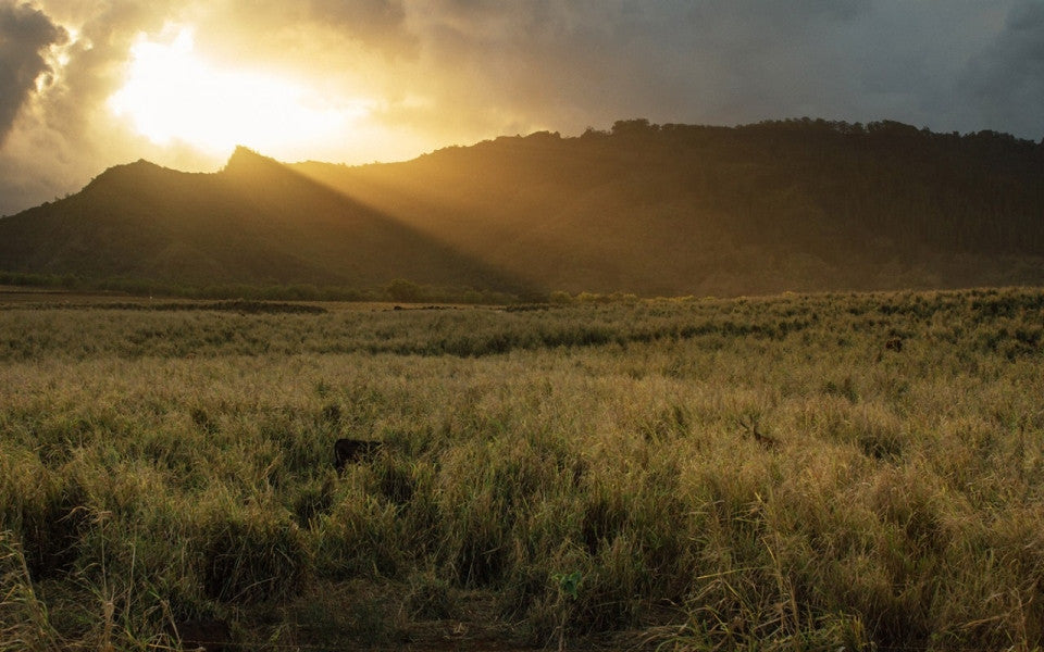RICH OZARK MOUNTAIN RETREAT IN NORTHERN LL